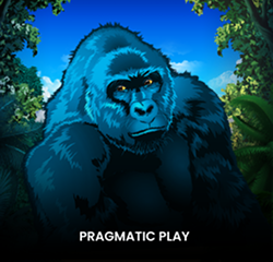 Congo
